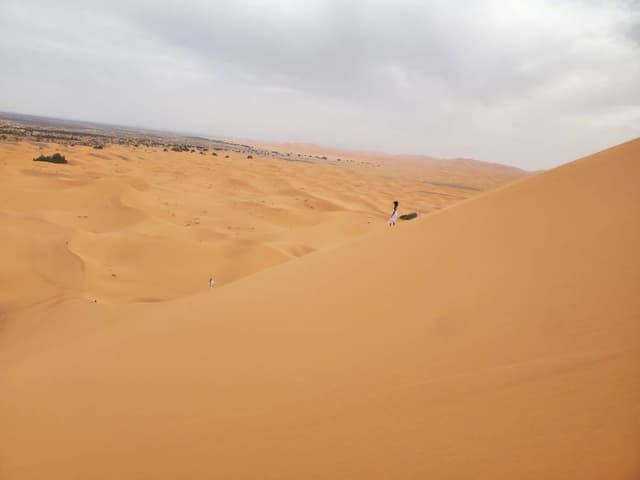 Photo 2 par Mohamed N. (30/07/25)