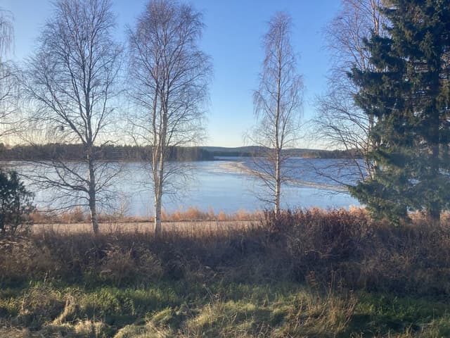 Photo by AULI L. about renting a Volkswagen Polo in Finland (11/4/22)
