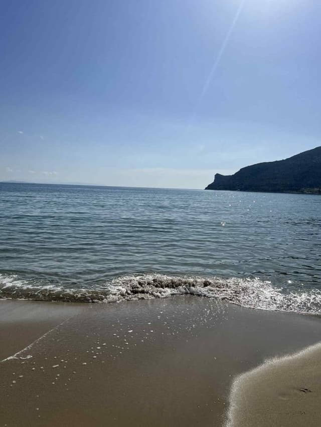 Photo 5 by Paul K. (11/21/25)