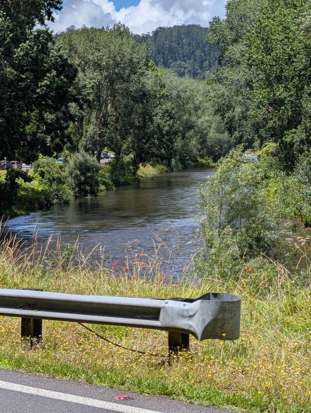 Photo 9 by Michael M. (1/11/26)