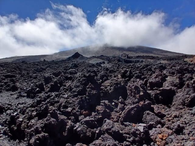 Foto 2 van Dionne V. (29-1-26)