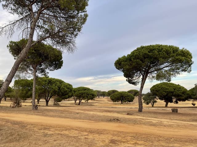 Foto 5 van Jeroen V. (24-10-25)