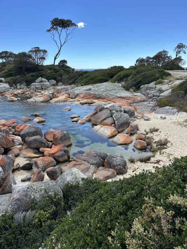 Photo 3 by John D. (12/30/25)