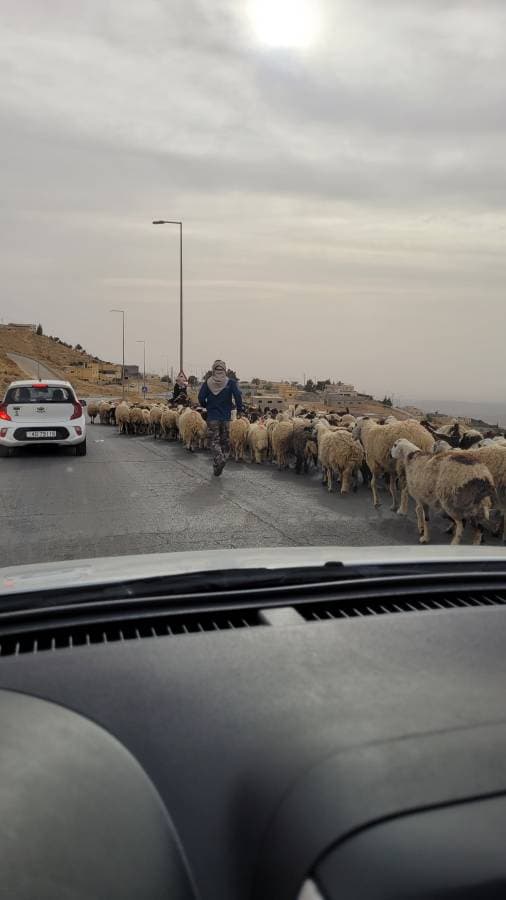 Foto 3 de Janer Fidel Q. sobre el alquiler de un Toyota Yaris en Jordania (3/5/24)