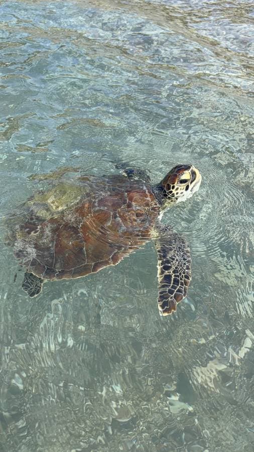 Foto 5 de JUAN GUILLERMO N. (6/1/26)