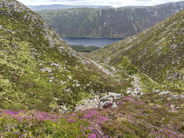 Photo 5 by Frederick B. (8/2/24)