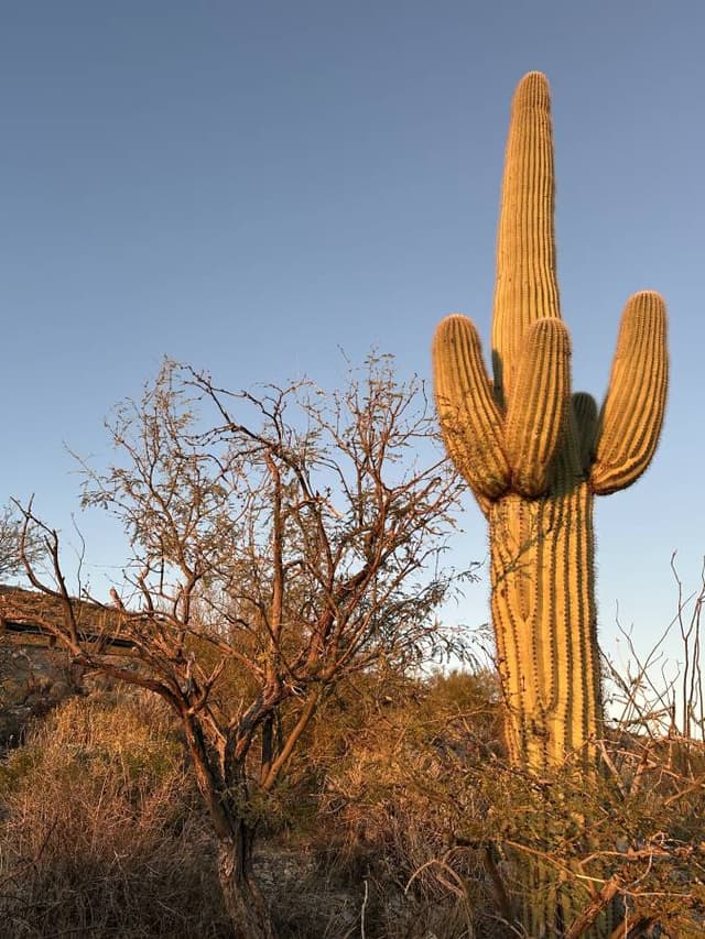 Photo 4 par Jacques H. (22/03/26)