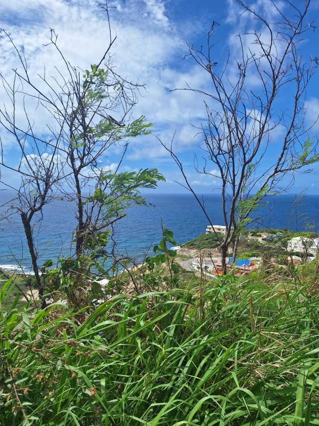 Foto 2 van jan S. (12-6-25)