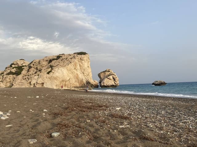 Photo 6 by Carmen Reyes R. (5/6/25)