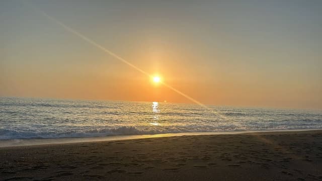 Foto 8 von Yasar C. (27.7.24)