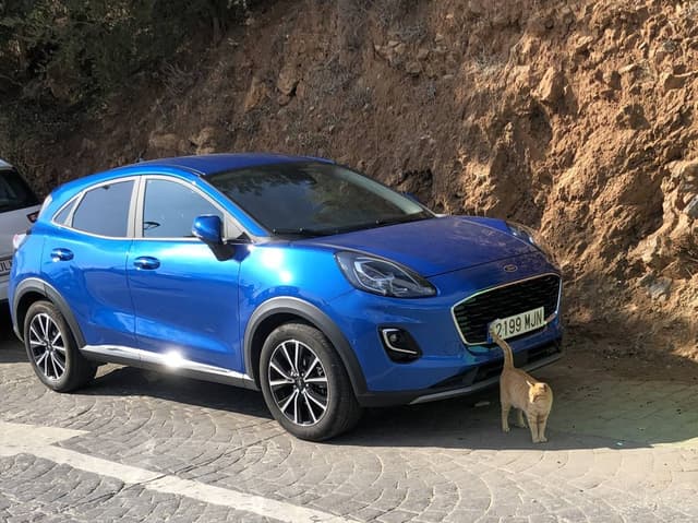 Photo 2 by Beverley W. about hiring a Ford Puma in Malaga (27/12/23)