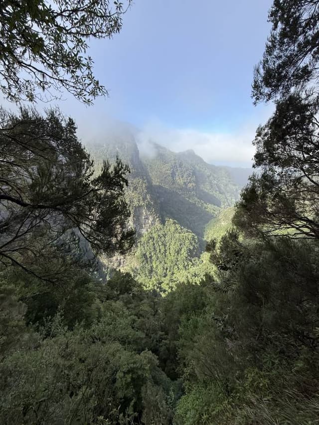 Photo 3 by Gabriel Codrin C. (2/26/26)