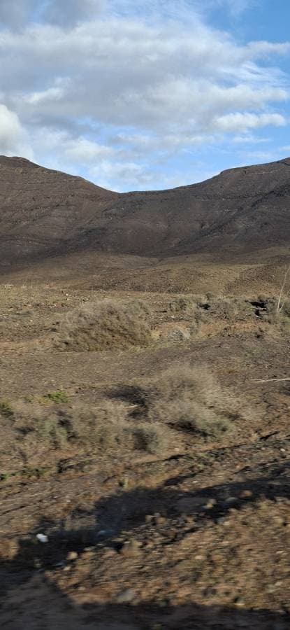 Foto 5 van Geert S. (7-3-26)