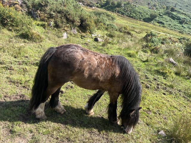 Foto 5 de Joaquin C. (31/8/26)