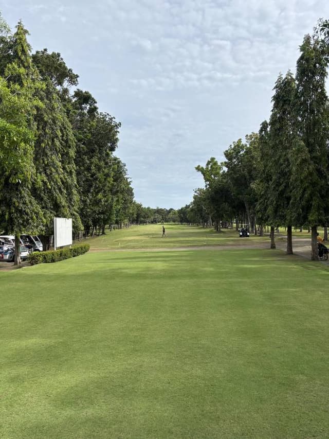 Billede 4 af Sammy Saidane A. (14.2.25)