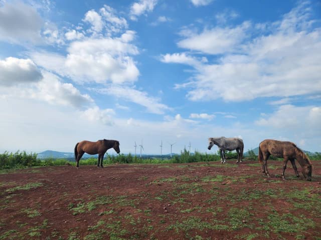Eunha J.의 사진(24. 8. 17.)