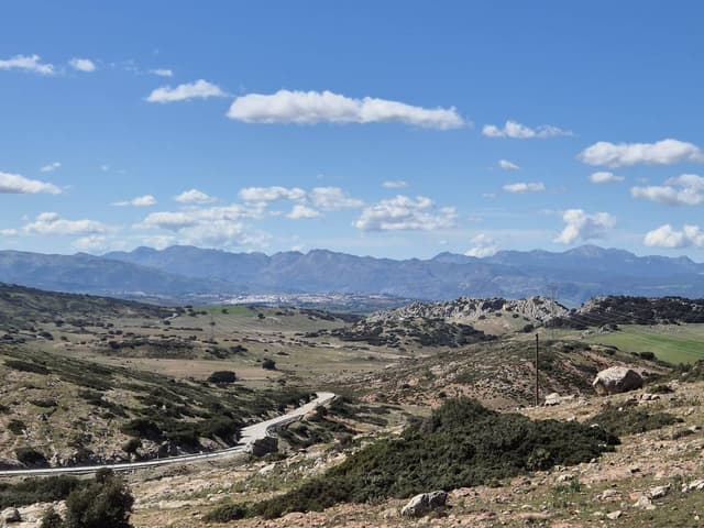 Foto 7 von Rudolf R. (5.3.25)