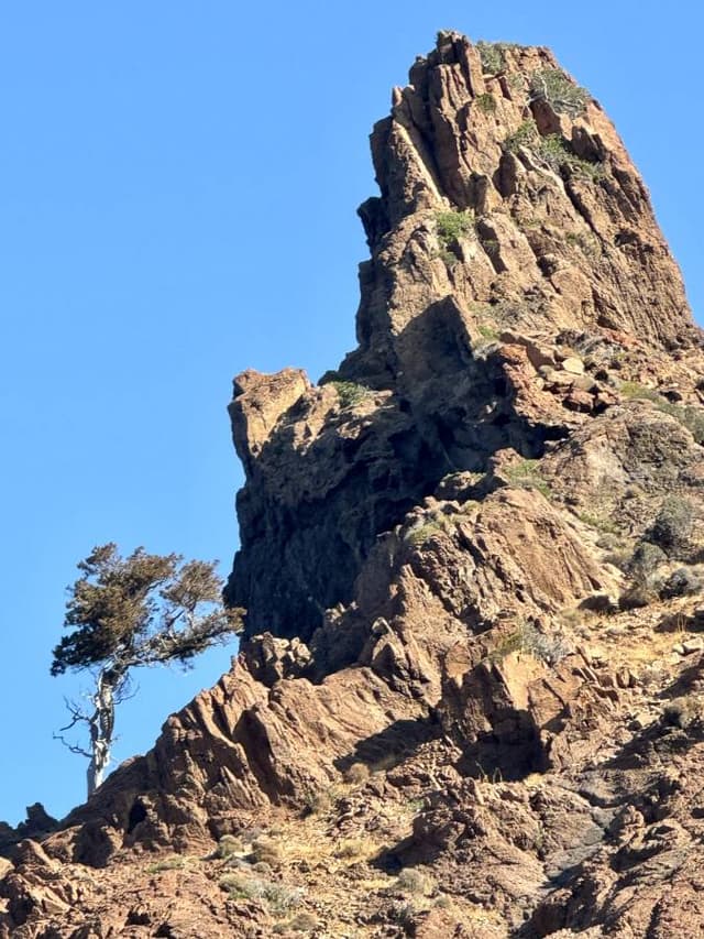 Photo 4 par Claude B. (10/08/24)