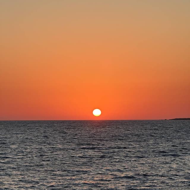 Photo 3 by Debra W. (6/13/26)