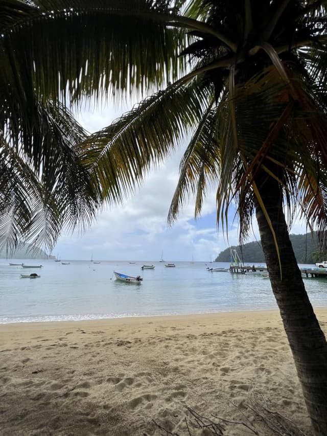 Photo 3 by Amanda K. about hiring a Toyota Aqua at Tobago Airport (19/07/23)