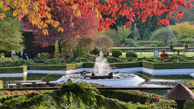 Photo 8 by Brian C. (11/12/25)