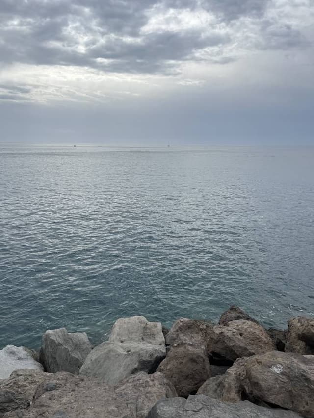 Foto 4 de Oziel S. (15/11/22)