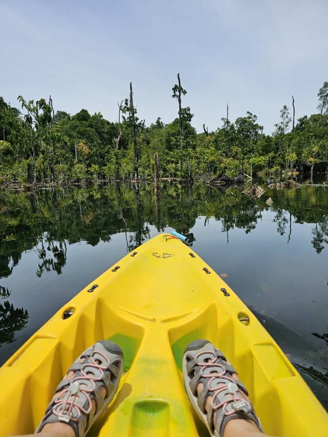 Photo 5 by Pei Yee S. (8/26/24)