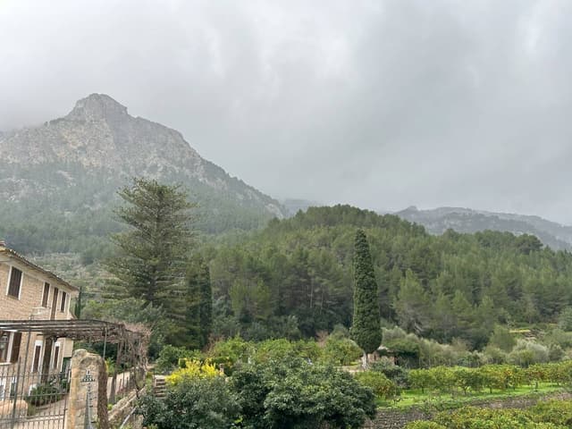 Photo 4 by Adrian K. about renting a Mercedes Benz A Class in the Balearic Islands (2/15/25)