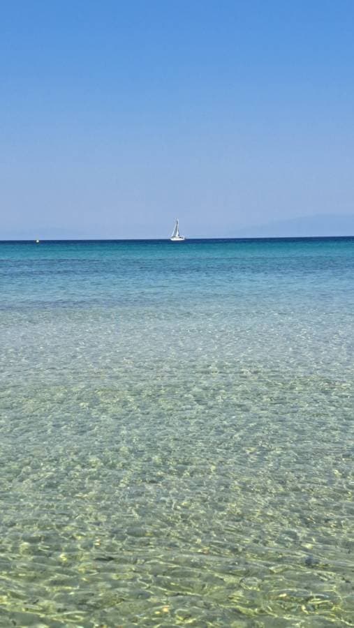 Foto 6 di Fedora A. (16/08/26)