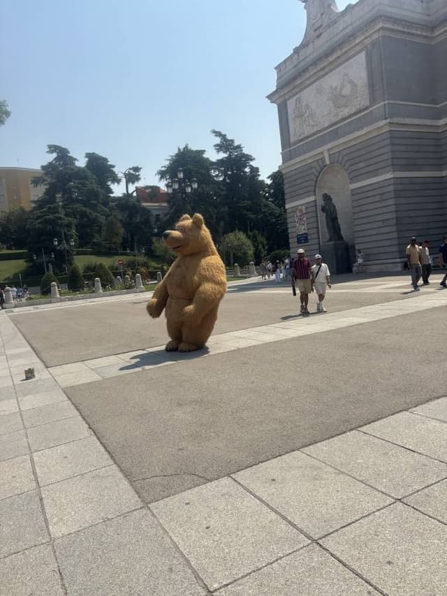 תמונה 2 מאת Adi G. (22.8.25)