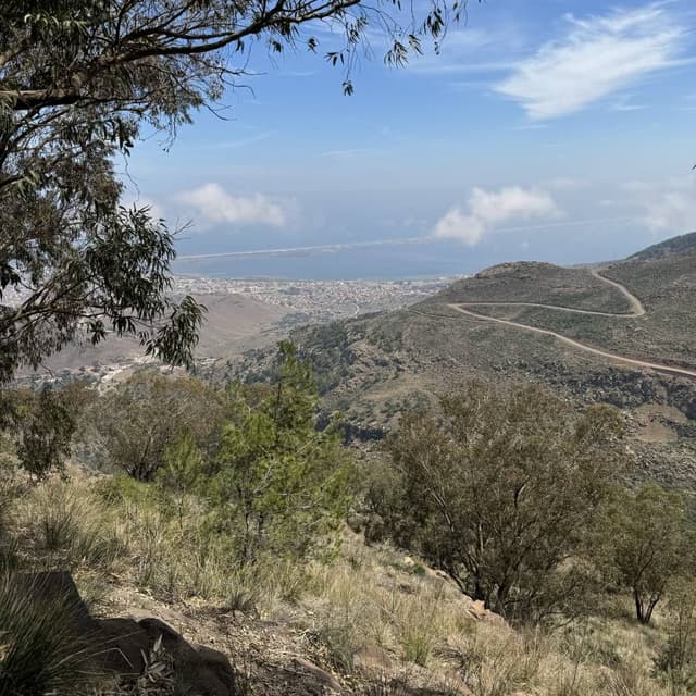 Photo 1 by CHAIB L. (4/22/24)