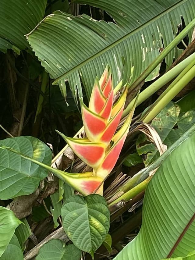 Foto 1 von Alexander S. (5.1.26)