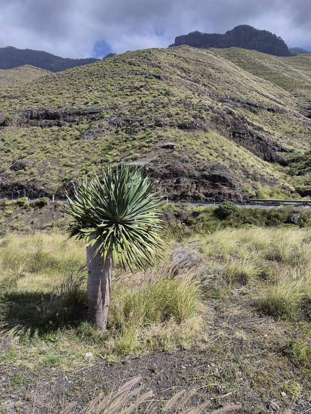 Foto 10 von Angelika P. (4.4.26)