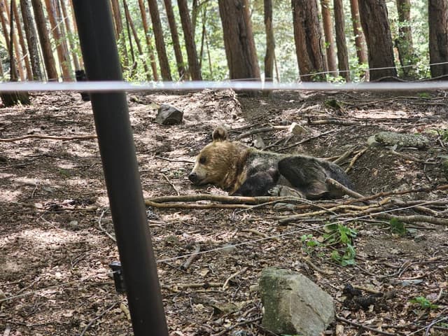 Foto 3 de Grigori B. (15/7/24)