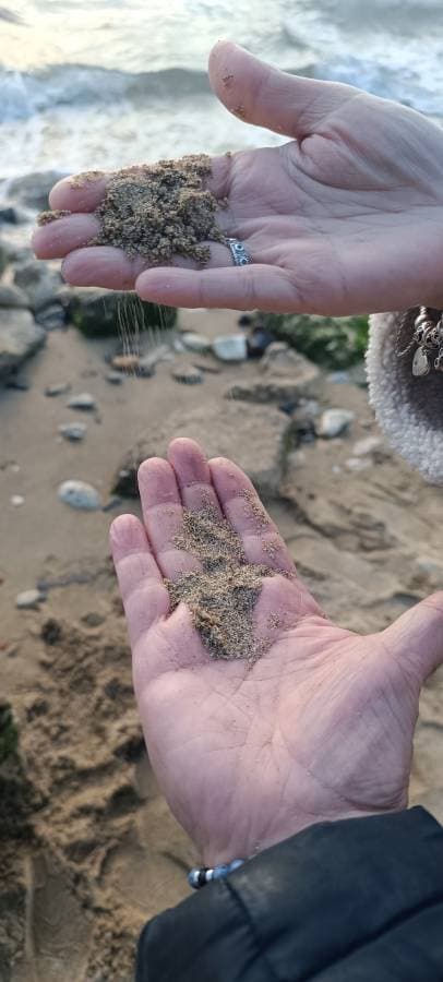 Foto 5 di Luigi P. (09/01/26)