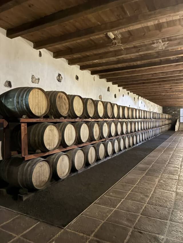 Photo by Robert L. (3/11/26)