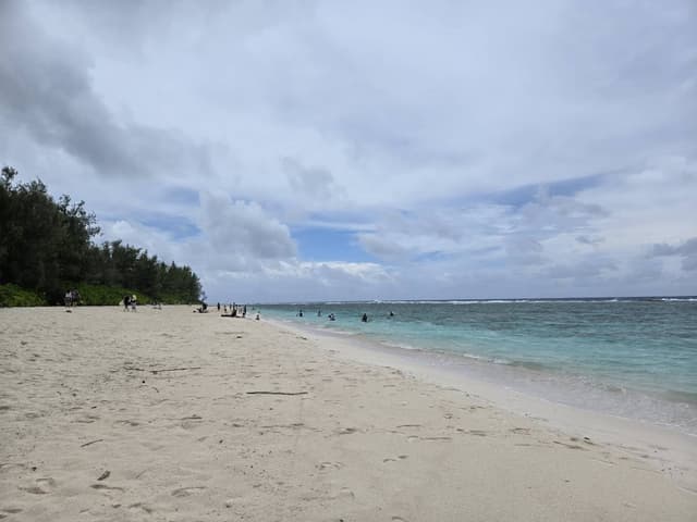 Jaechun R.의 사진 6 (24. 10. 17.)