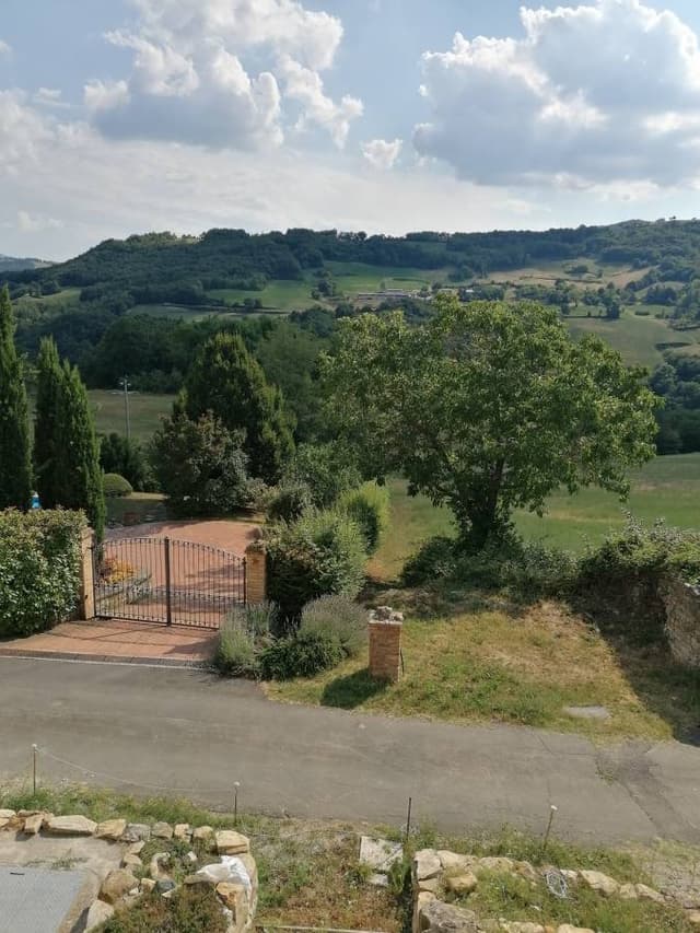 Photo by Roisin D. (3/31/26)