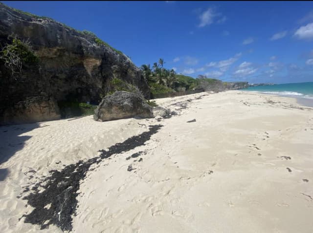 Photo 8 by Ronald B. about hiring a Suzuki Swift in Barbados (21.10.23)