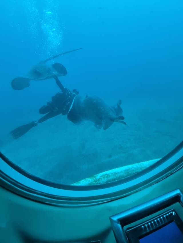 Photo 2 by David K. about hiring a Kia Picanto at Tenerife Airport South (16/03/26)