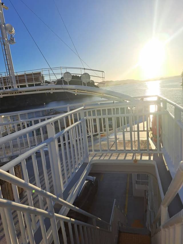 Photo by Christine H. (12/1/23)