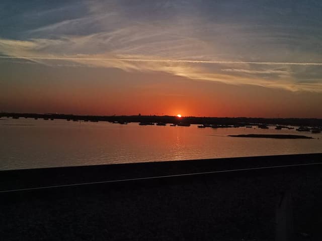 Foto 5 van Yordi G. (18-8-24)