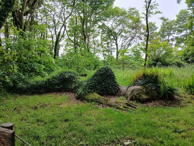 Photo 2 by Susan P. (5/27/26)