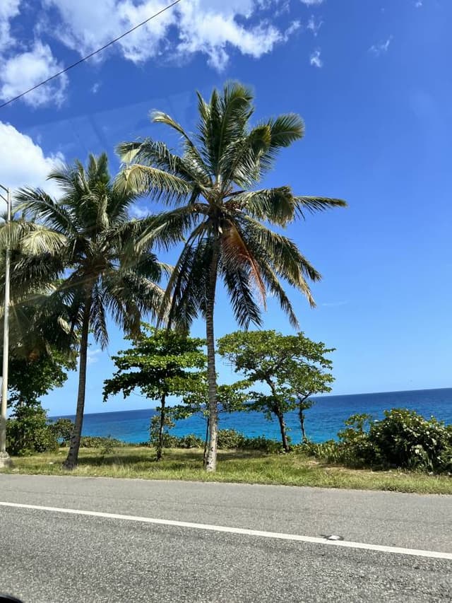 Foto di Elisabetta S. (26/04/25)