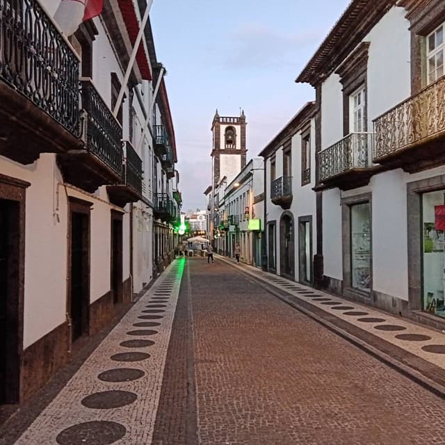 Photo 7 par Claude P. sur la location d'un Peugeot 2008 à Ponta Delgada (26/03/24)