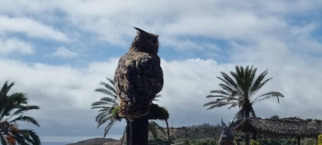 Zdjęcie 11 wykonane przez Andrzej P. (2.03.26)