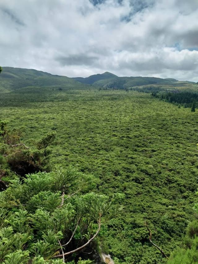 Photo 2 par Antoine L. (27/07/25)