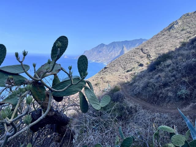 Foto 3 van Tom V. (12-11-25)