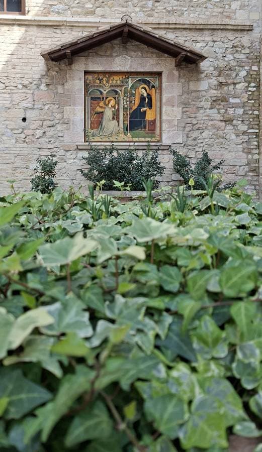 Foto 2 di Costantino S. (28/03/26)