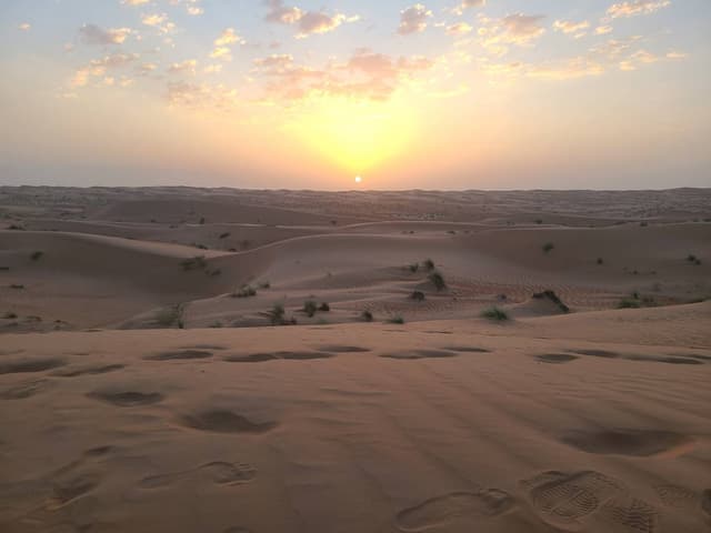 donghwan K.의 사진 2 (24. 9. 24.)